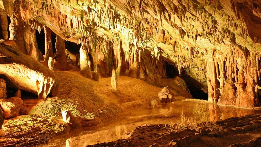 Puerto de San Miguel: Can Marçá Cave Guided Tour with Entry