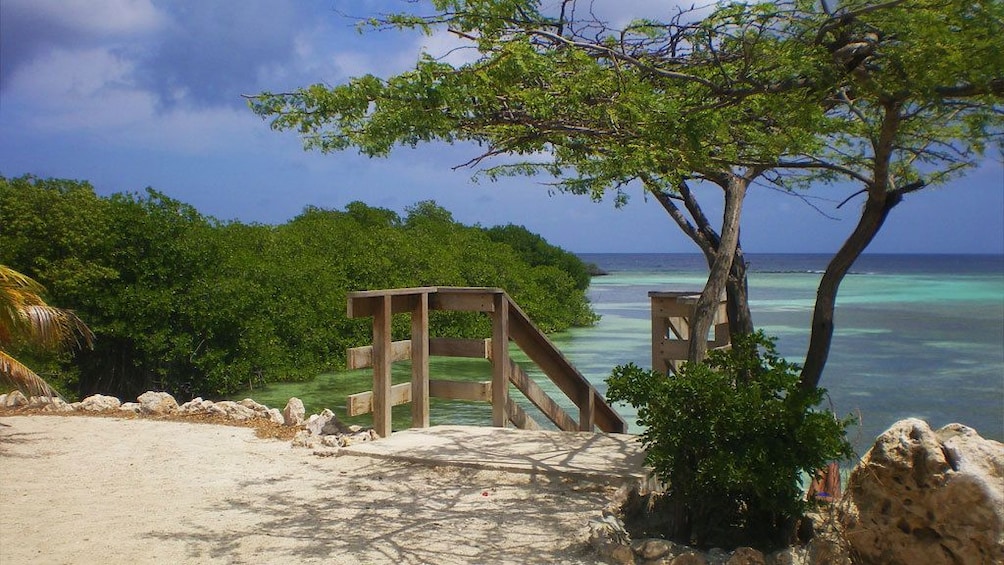 Mangel Halto Beach in Aruba