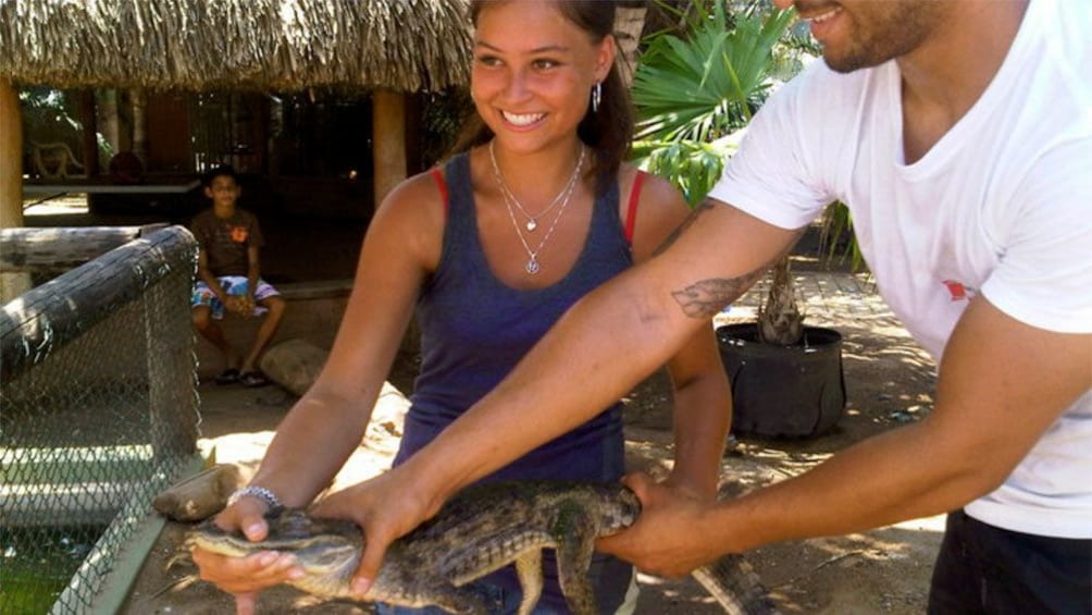 Young woman holding a small crocodile in Aruba