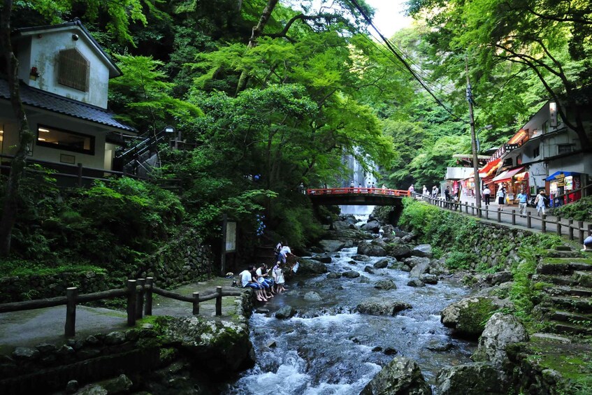 Picture 2 for Activity Minoo Park: Guided Nature Walk