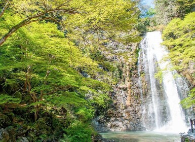 Parque Minoo: caminata guiada por la naturaleza