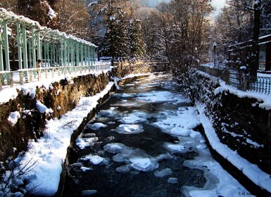 Tbilisi: Private Uplistsikhe dan Borjomi Hot Pools Day-Trip