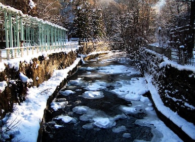 Tbilisi: privédagtrip Uplistsikhe en Borjomi Hot Pools