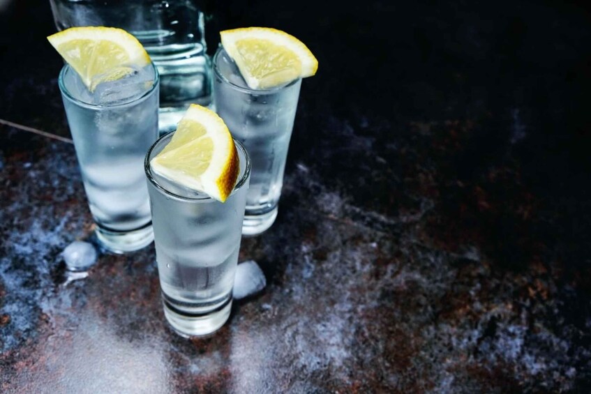 Picture 4 for Activity Szczecin Private Vodka Tasting Tour