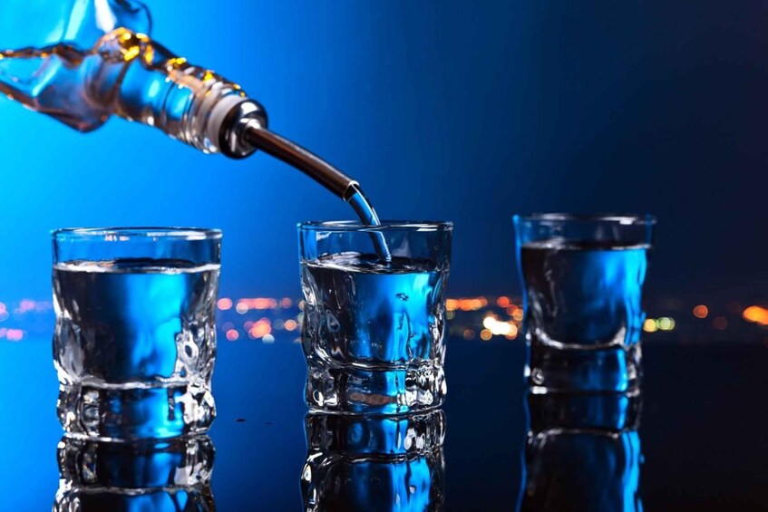 Picture 9 for Activity Szczecin Private Vodka Tasting Tour
