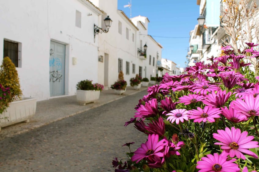 Picture 2 for Activity Alicante Charming Villages Tour: Villajoyosa and Altea