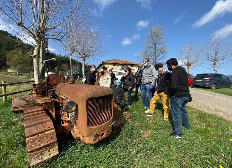 Picture 4 for Activity Bilbao: Guided Txacoli Wine Tasting