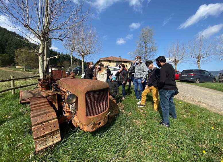 Picture 4 for Activity Bilbao: Guided Txacoli Wine Tasting