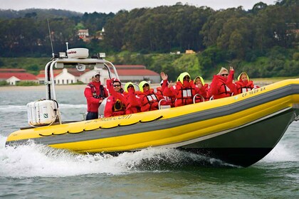 San Francisco-bugten: Adventure Boat Tour