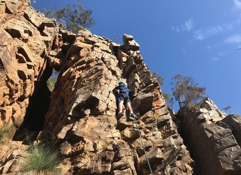 Picture 3 for Activity Adelaide: Rock Climbing and Abseiling Experience in Morialta