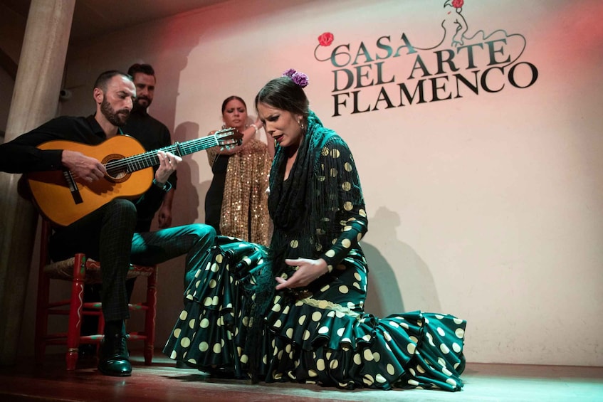 Picture 1 for Activity Granada: 1-Hour Traditional Flamenco Show