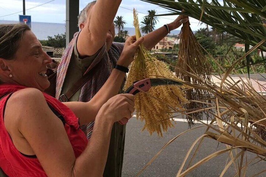 Basket weaving from palm brooms in La Gomera