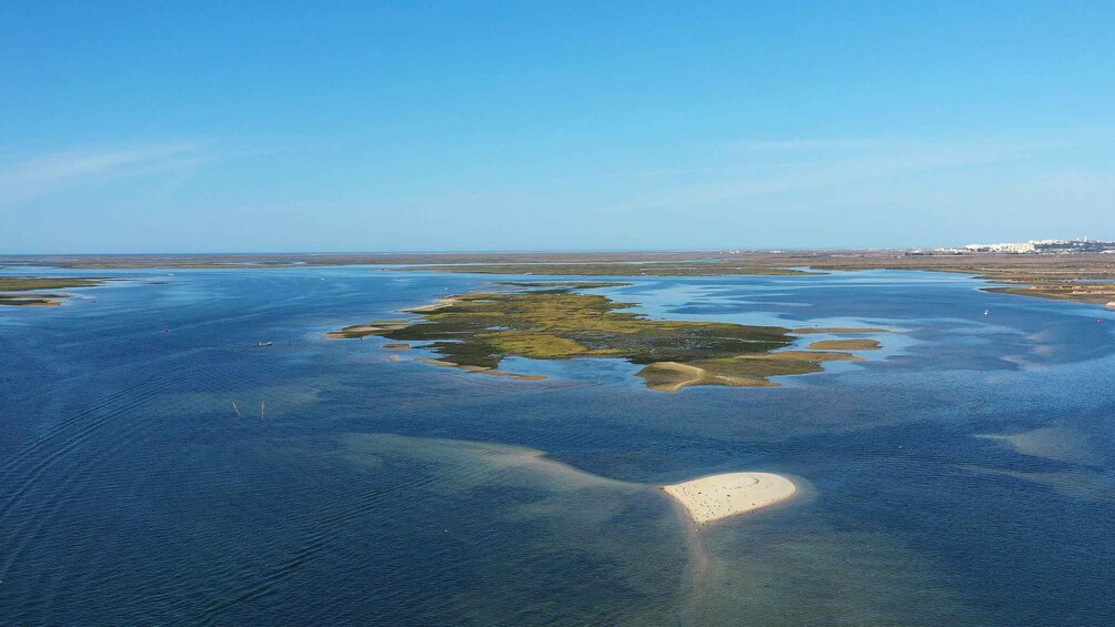 Picture 8 for Activity Ria Formosa: Armona and Culatra Islands Boat Tour