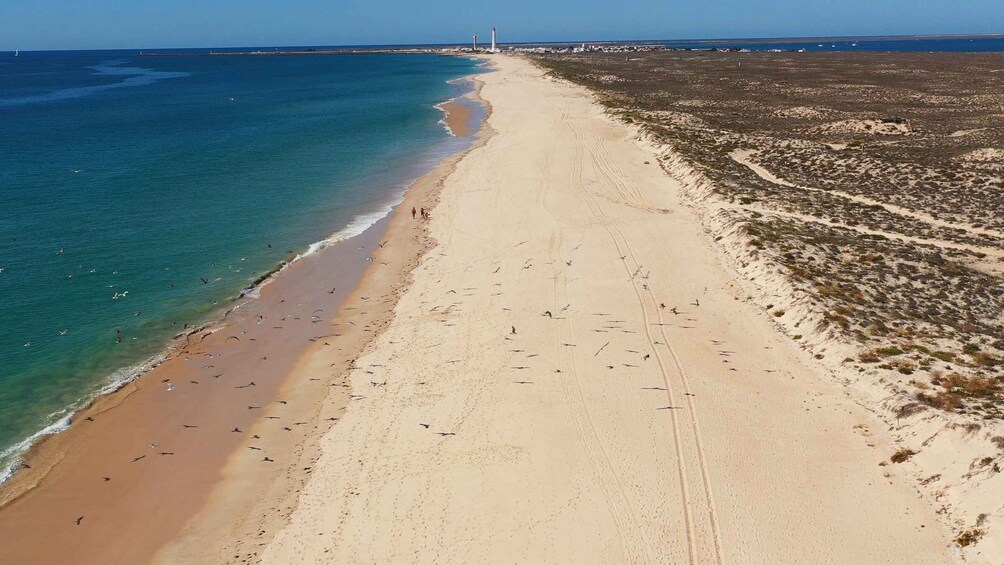 Picture 4 for Activity Ria Formosa: Armona and Culatra Islands Boat Tour