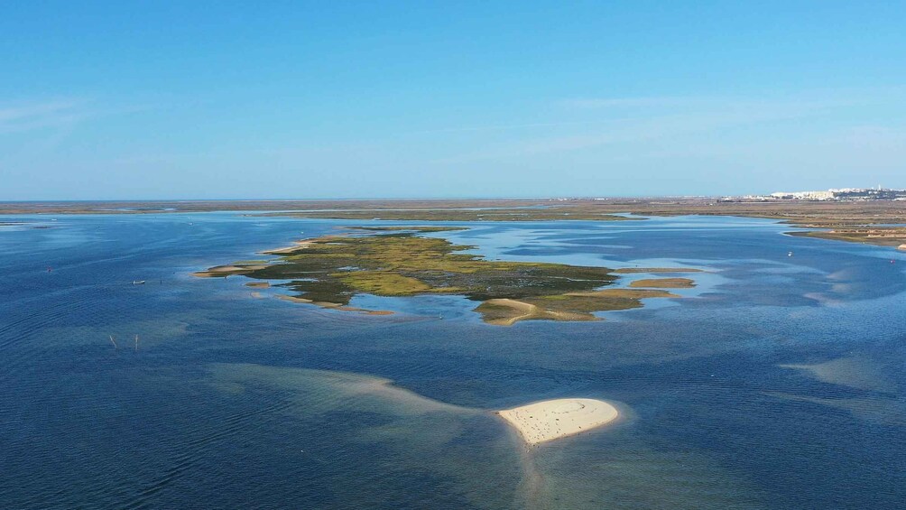 Picture 8 for Activity Ria Formosa: Armona and Culatra Islands Boat Tour