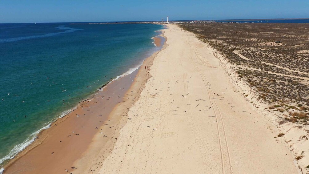 Picture 4 for Activity Ria Formosa: Armona and Culatra Islands Boat Tour