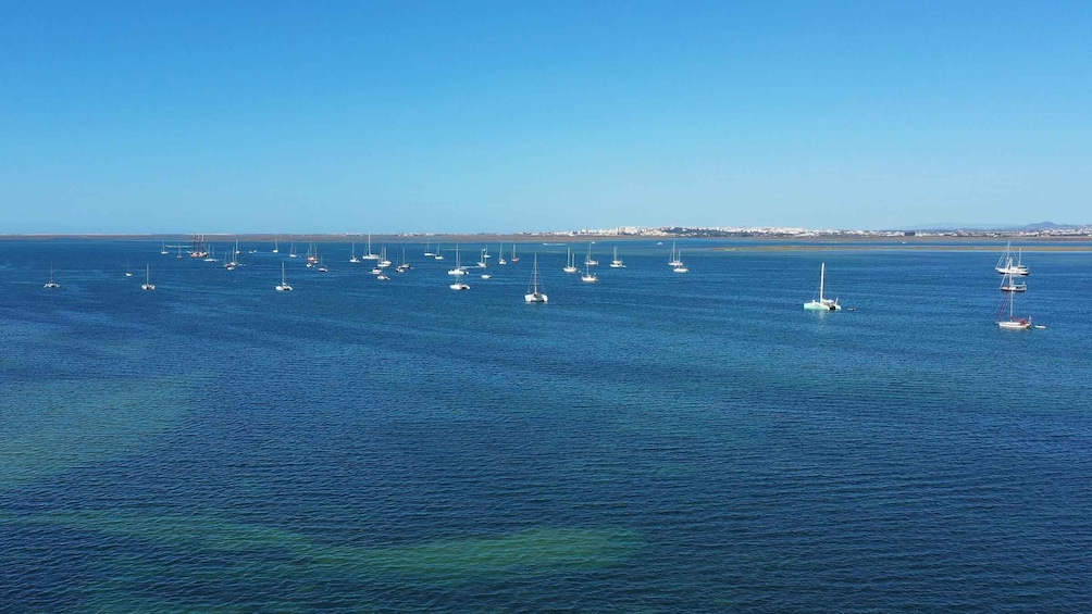 Picture 11 for Activity Ria Formosa: Armona and Culatra Islands Boat Tour