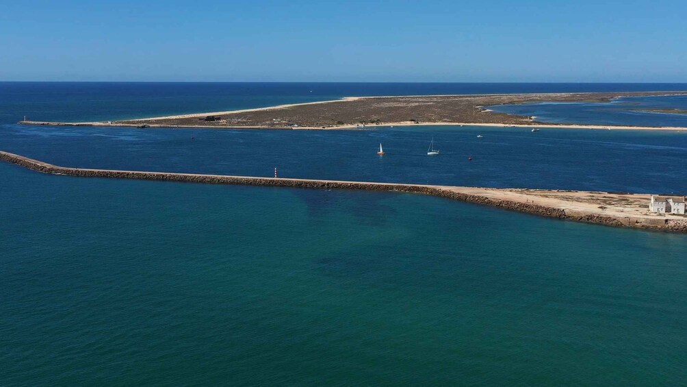 Picture 14 for Activity Ria Formosa: Armona and Culatra Islands Boat Tour