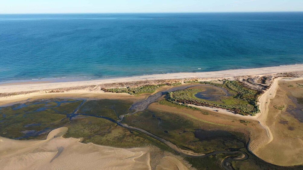 Picture 10 for Activity Ria Formosa: Armona and Culatra Islands Boat Tour