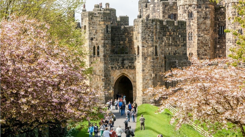 Full-Day Tour to the Scottish Borders & Alnwick Castle