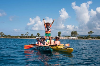 Bahía Navarino: paseo en kayak por el mar con almuerzo