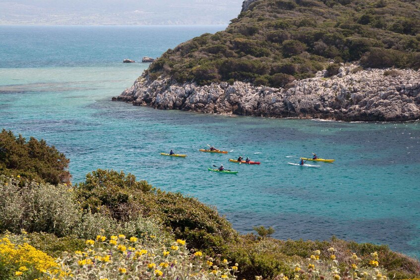 Picture 12 for Activity Navarino Bay: Sea Kayaking with Lunch