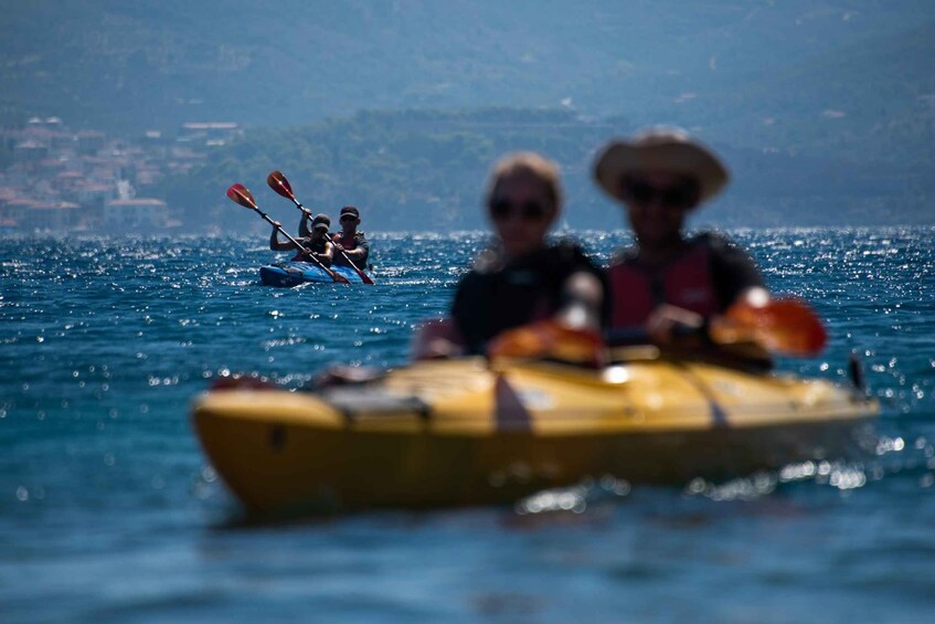 Picture 3 for Activity Navarino Bay: Sea Kayaking with Lunch