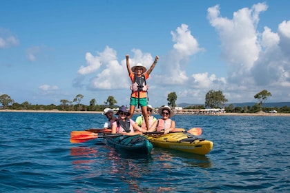 Baie de Navarino : Kayak de mer avec déjeuner