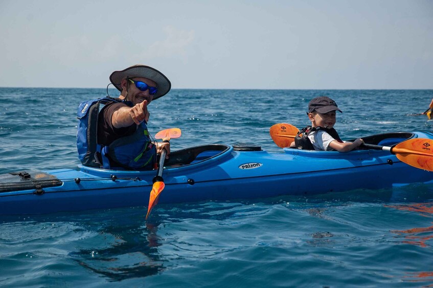 Picture 5 for Activity Navarino Bay: Sea Kayaking with Lunch