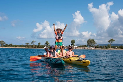 Navarino Bay: Seekajakfahren mit Mittagessen