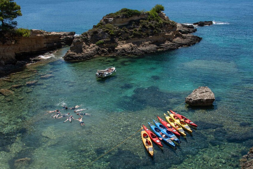 Picture 11 for Activity Navarino Bay: Sea Kayaking with Lunch