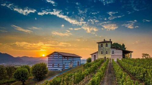 Milaan: Franciacorta Wijnmakerij en Bergamo Dagtocht met Lunch