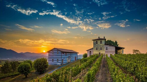 Milán: excursión de un día a la bodega Franciacorta y a Bérgamo con almuerz...