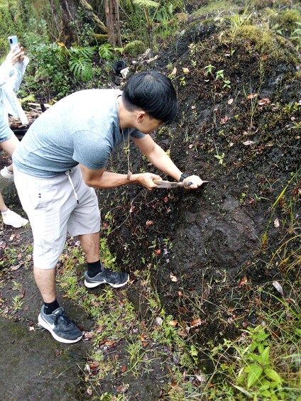 Create Lava Rock Sculptures and Wood Tikis in the Hawaiian Jungle