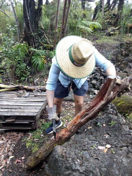 Create Lava Rock Sculptures and Wood Tikis in the Hawaiian Jungle