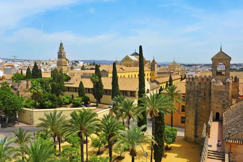 Picture 1 for Activity Cordoba Mosque & Jewish Quarter Tour with Tickets