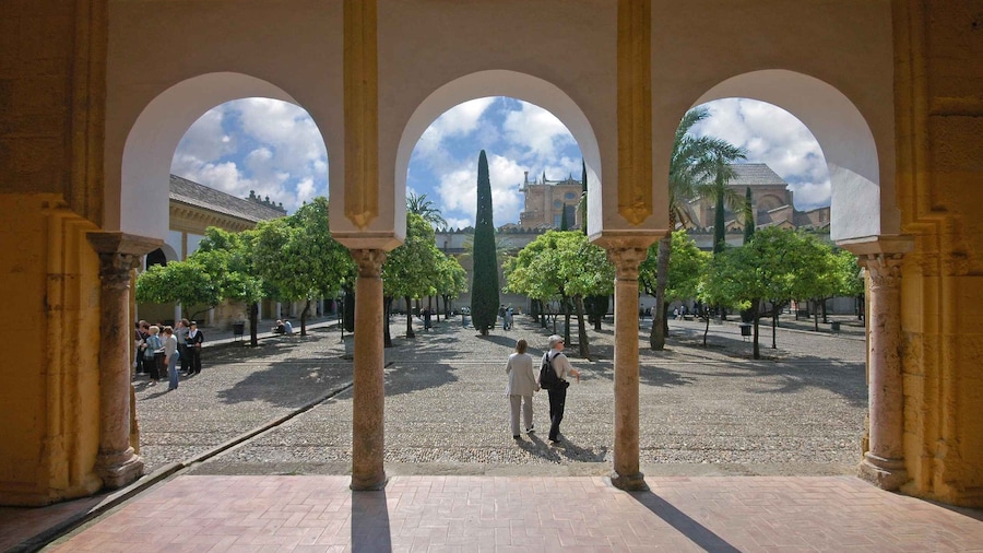 Cordoba Mosque & Jewish Quarter Tour with Tickets