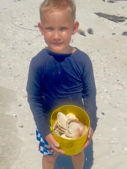 Picture 8 for Activity Marco Island: 2-Hour Dolphin, Birding, and Shelling Tour