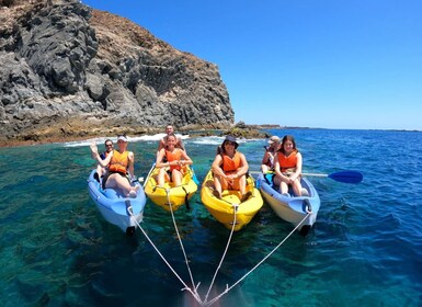 Kayak et plongée en apnée avec les tortues