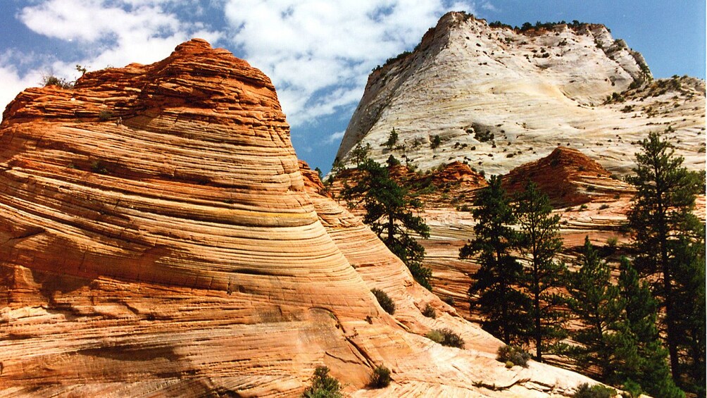 Colorful rocks at Zion National Park