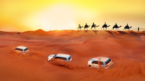 Safari dans les dunes rouges, promenade à dos de chameau et dîner avec 3 bu...