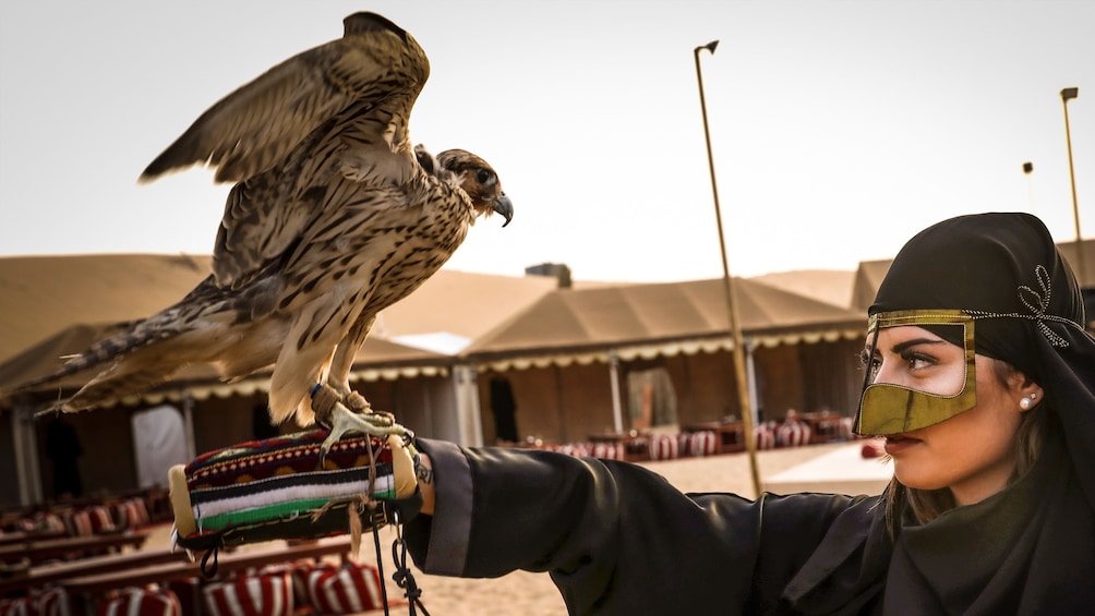 Premium Red Dunes & Camel Safari with BBQ at Al Khayma Camp