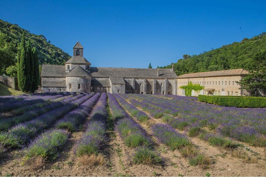 Picture 1 for Activity From Avignon: Half-Day Baux de Provence and Luberon Tour