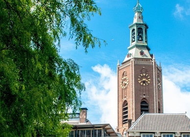 Haag: Guidad tornklättring