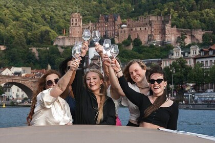 Heidelberg: exclusive private boat trip for up to 12 guests