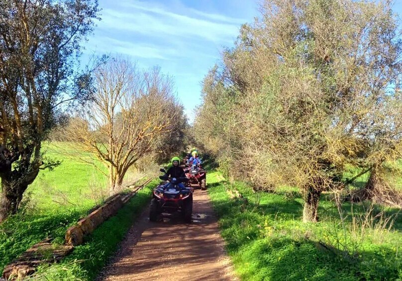 Picture 6 for Activity Albufeira: Off-road Quad Bike Adventure