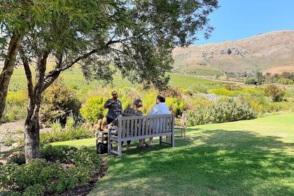 Best of the Winelands Private Tour from Cape Town
