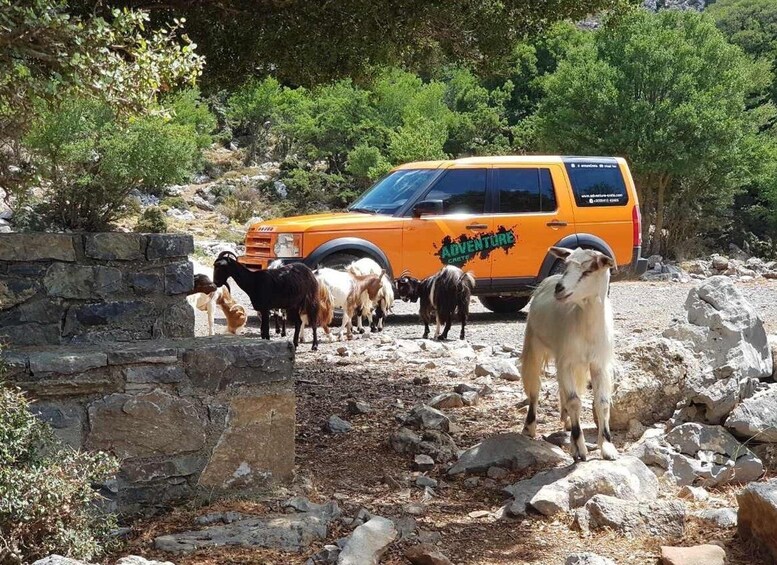 Picture 9 for Activity Knossos Palace and Village Pottery Tour