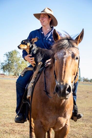 Australian Outback Sheep Farm