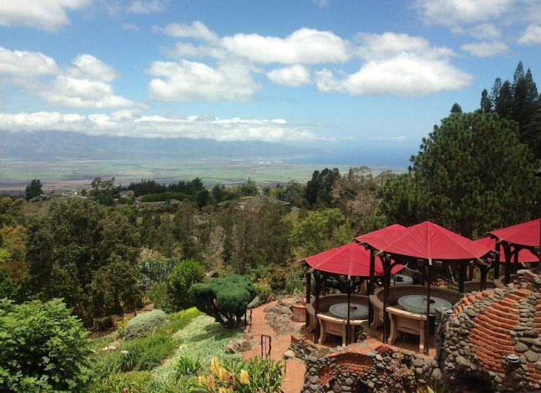 Picture 7 for Activity Maui: Haleakala National Park Sunrise Tour